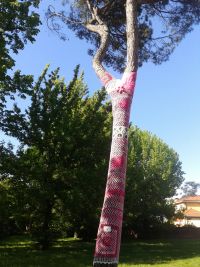 Foto dell'albero del parco di Villa Franchin "vestito"